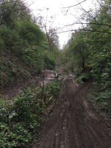 Foto 16.04.16, 17 44 11